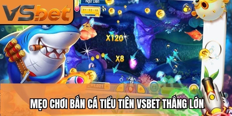 Mẹo chơi bắn cá tiểu tiên VSBET thắng lớn