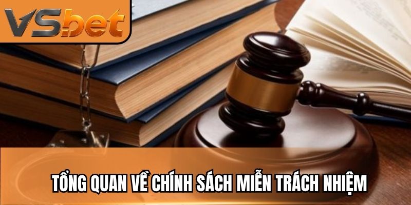 Tổng quan về chính sách miễn trách nhiệm