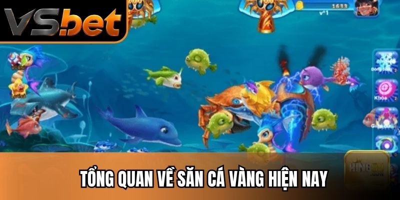 Tổng quan về săn cá vàng hiện nay