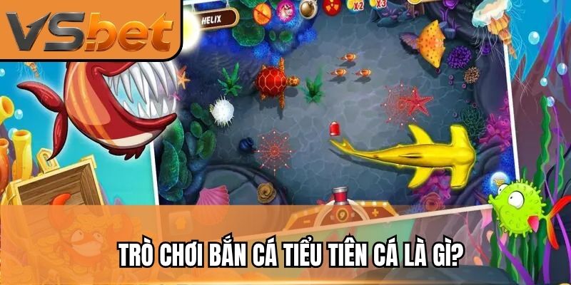 Trò chơi bắn cá tiểu tiên cá là gì?